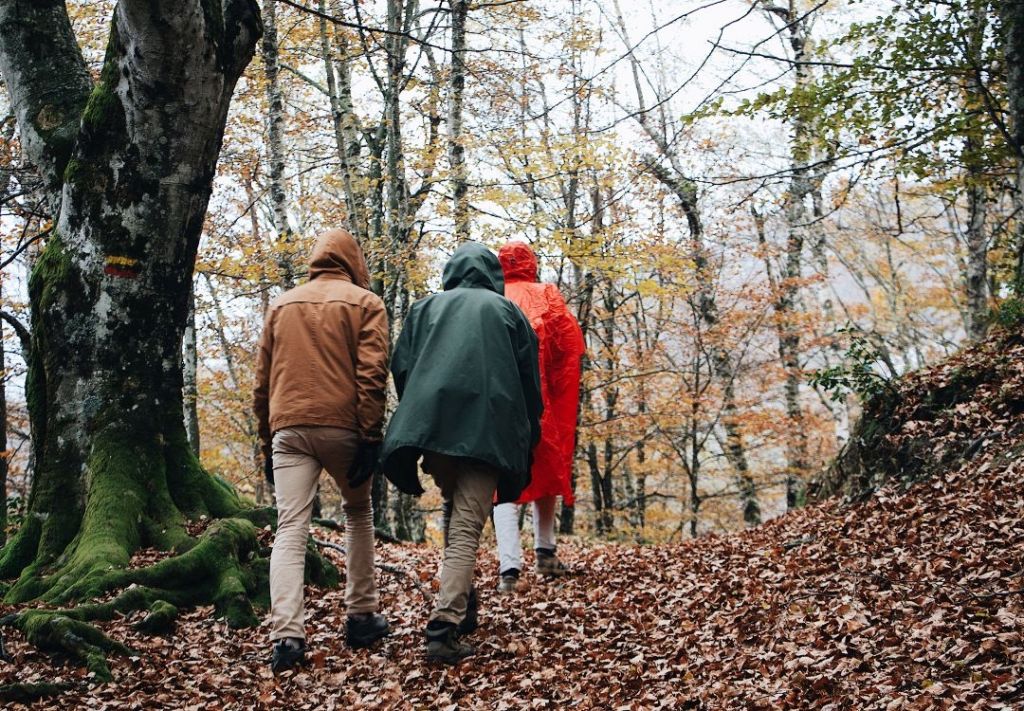 Caminata gratuita para observar aves, ¿Cuándo y dónde?