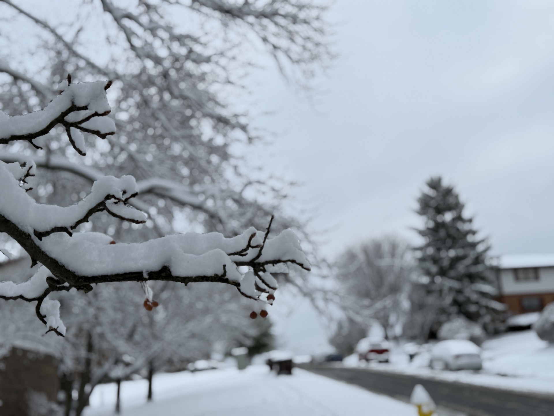 Vuelven la nieve y el frío: fin de semana helado en DC