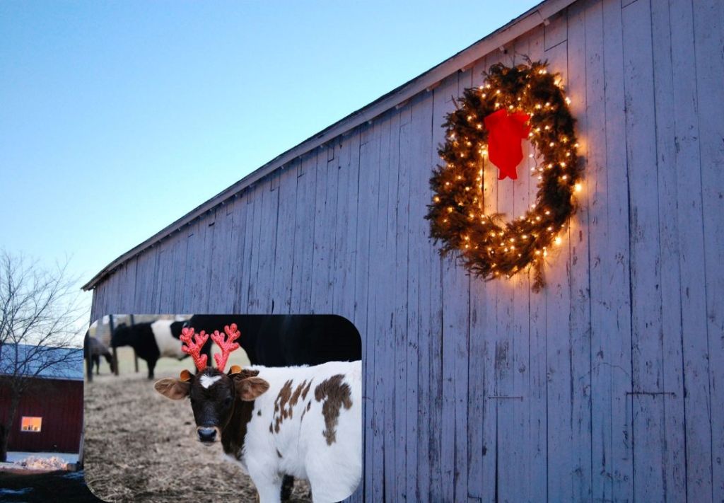 ¡Últimos días de aventuras navideña en granja de Herndon!