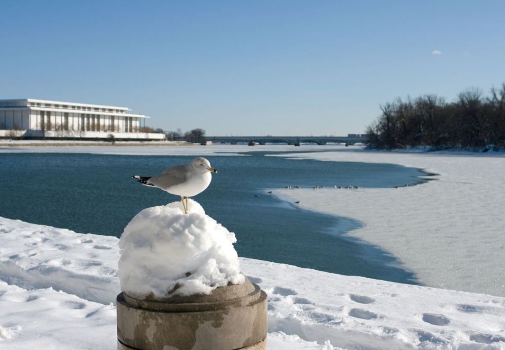 Ante frente ártico, tome todas las medidas de precaución y seguridad