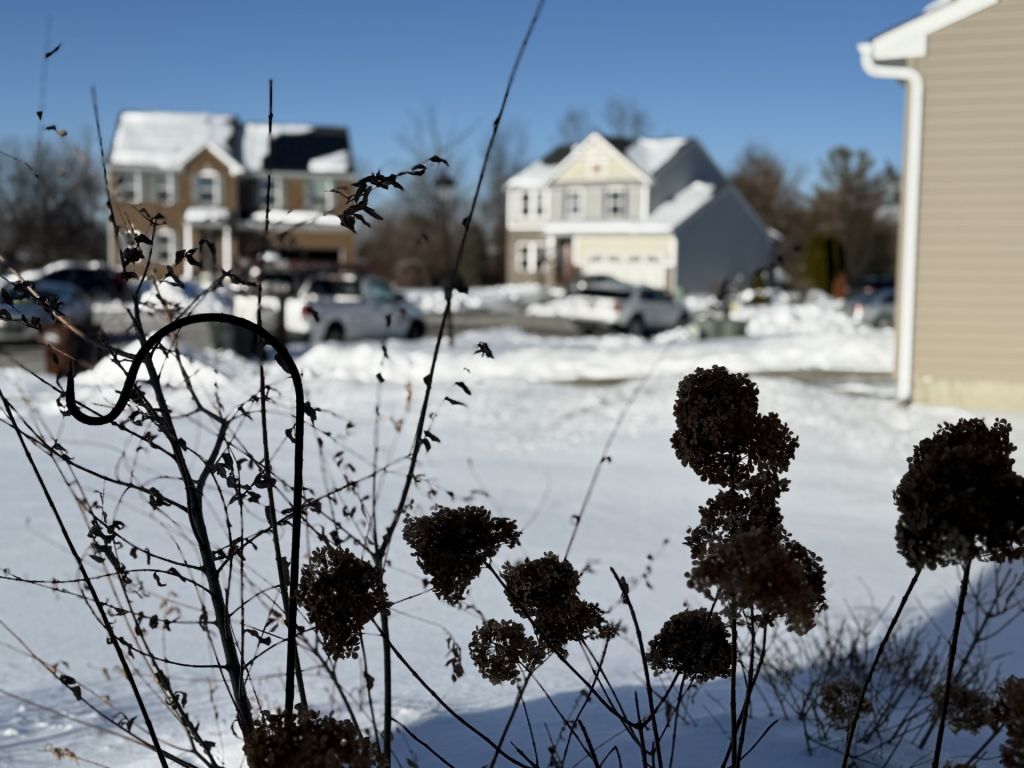 DC, Maryland y Virginia entran en un deshielo gradual