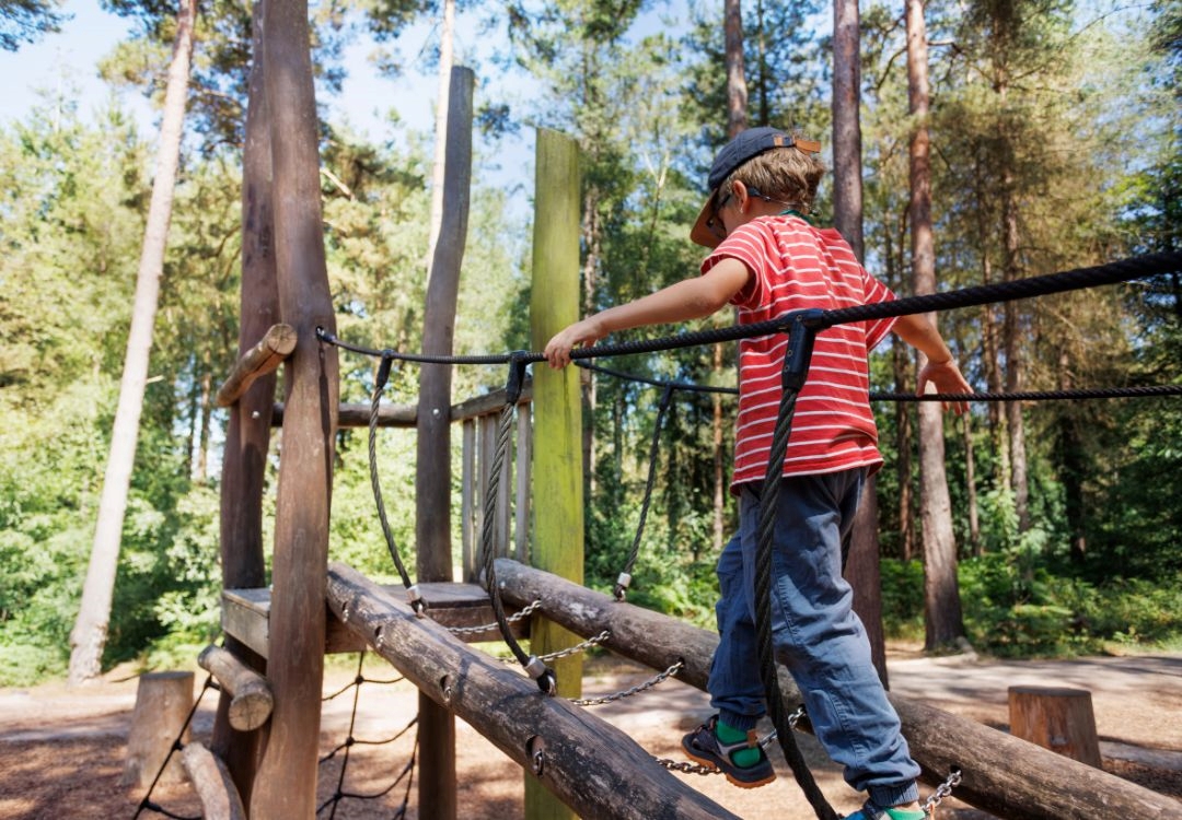 Inician inscripciones para programas de verano en Nova Parks