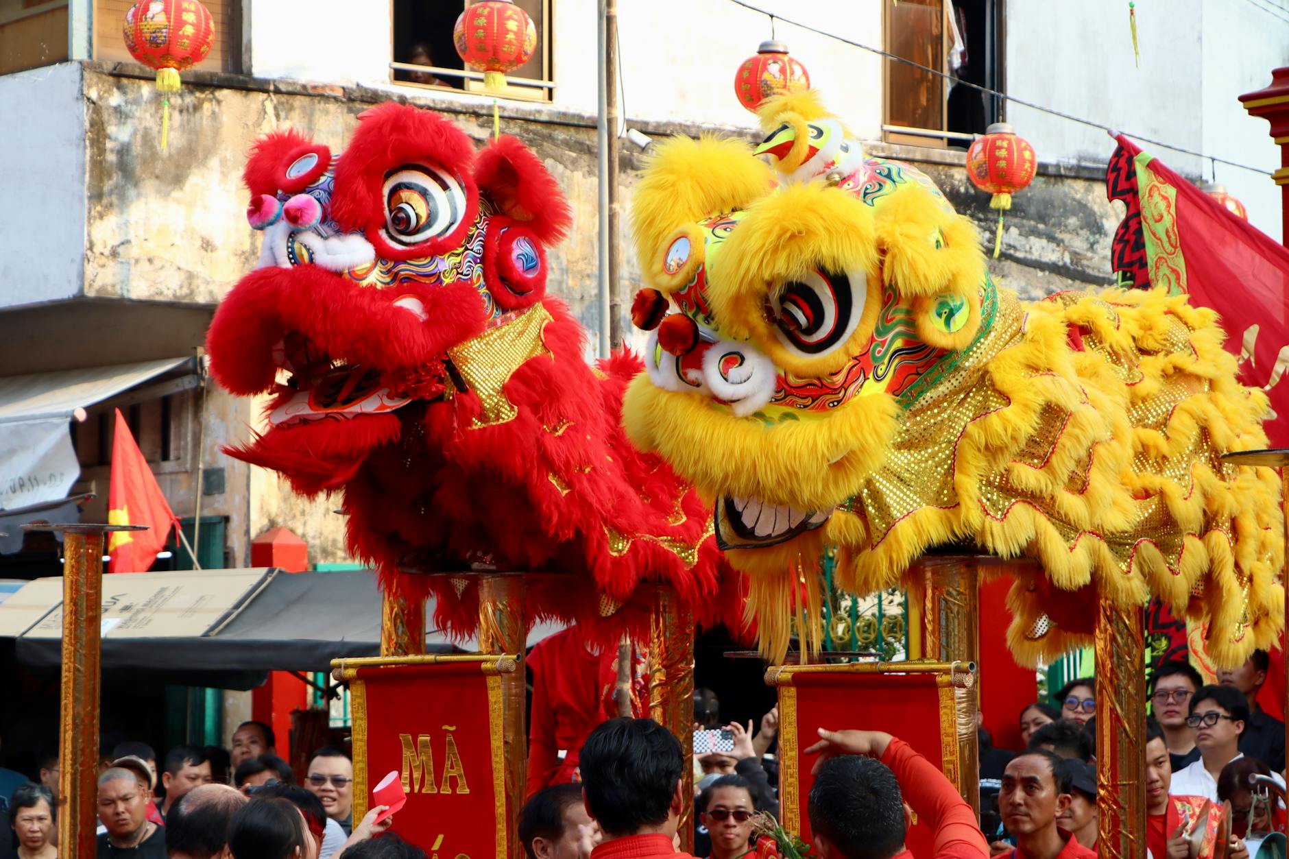vibrant lion dance at chinese cultural festival