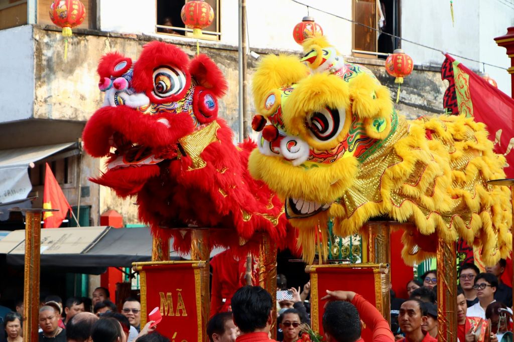 vibrant lion dance at chinese cultural festival