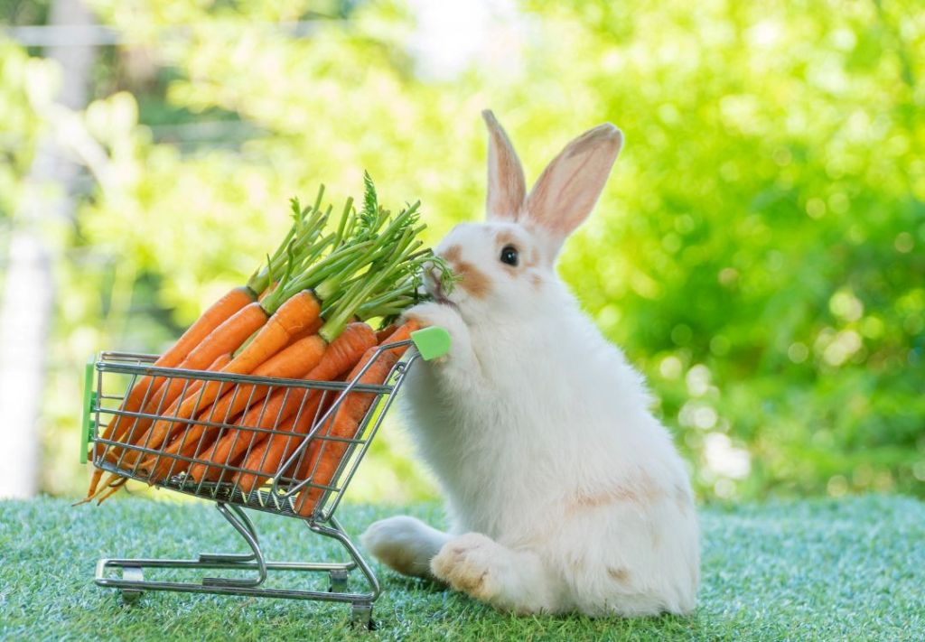 Peter Rabbit visita Maryland antes de Pascua, ¿Cuándo y dónde?  
