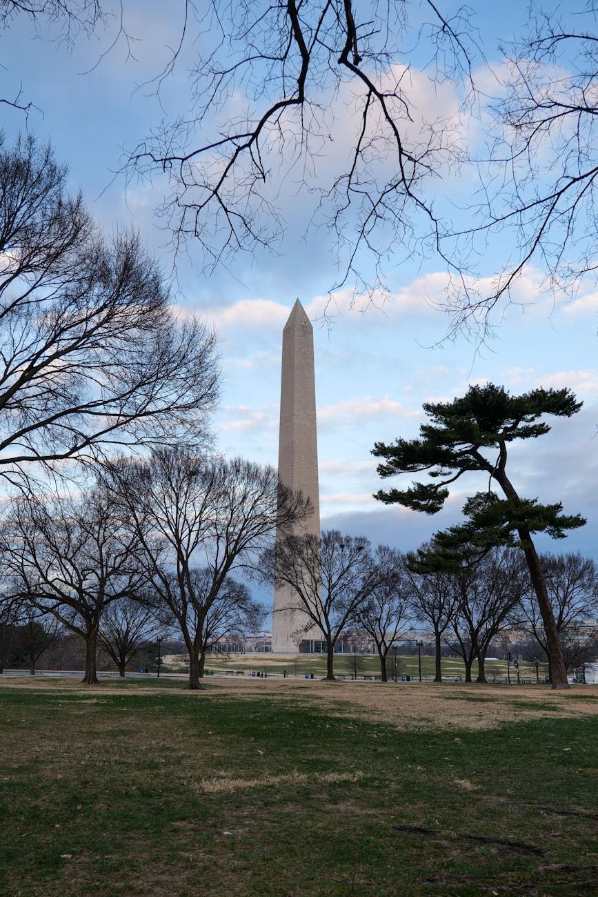 washington monument in early spring dc